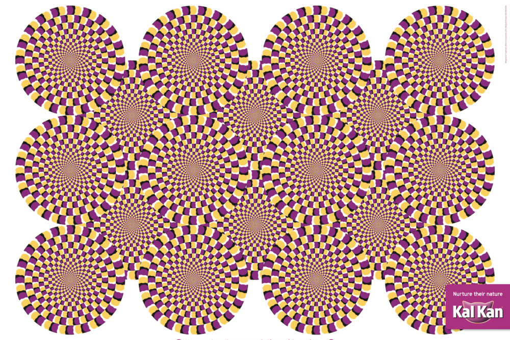 OpticatIllusion_A2_final_OL