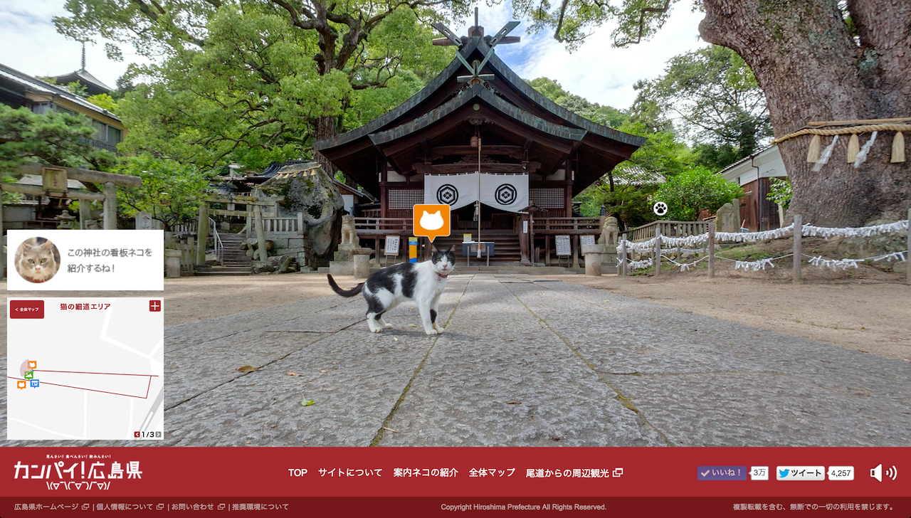 ストリートビュー_看板猫_クロ